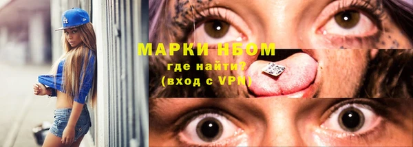 ГАЛЛЮЦИНОГЕННЫЕ ГРИБЫ Покров