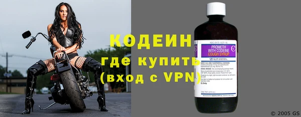 ГАЛЛЮЦИНОГЕННЫЕ ГРИБЫ Покров
