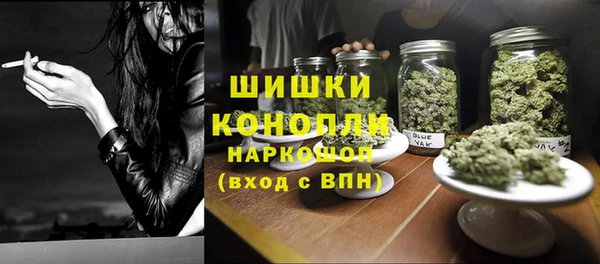 ГАЛЛЮЦИНОГЕННЫЕ ГРИБЫ Покров