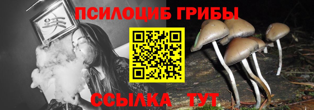 купить   Псилоцибиновые грибы Magic Shrooms  Вход с VPN  Апатиты 