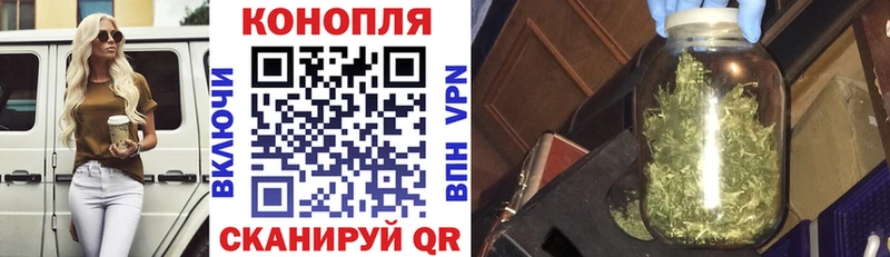 mega ССЫЛКА  Апатиты  Конопля AK-47  наркошоп 